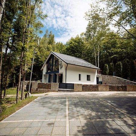 Vila Blanc Valiug Crivaia Văliug Exterior foto