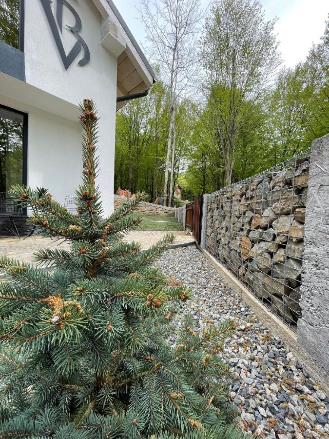 Vila Blanc Valiug Crivaia Văliug Exterior foto