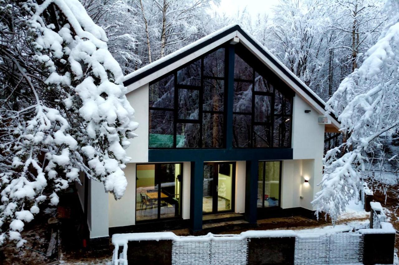 Vila Blanc Valiug Crivaia Văliug Exterior foto