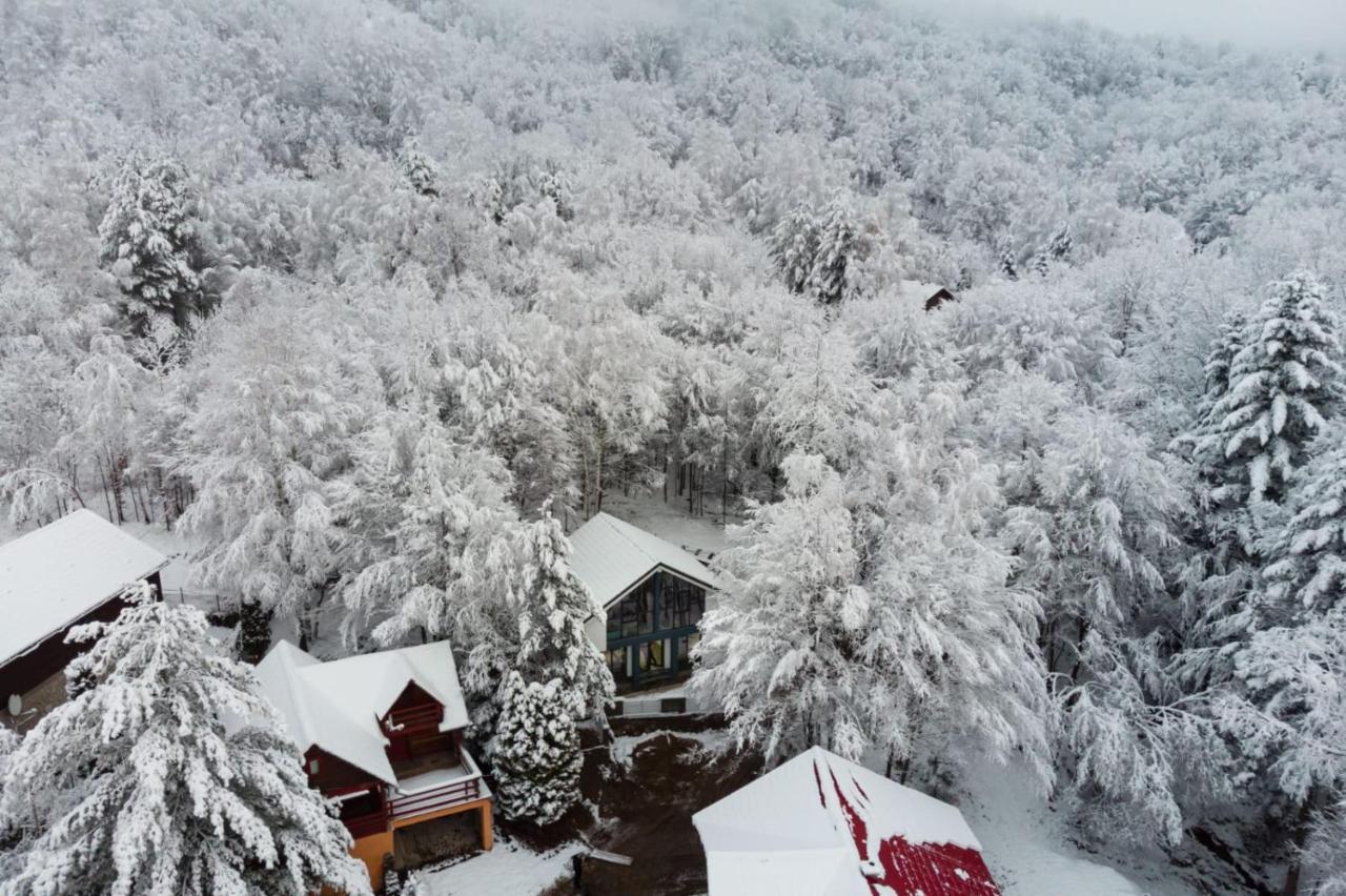 Vila Blanc Valiug Crivaia Văliug Exterior foto