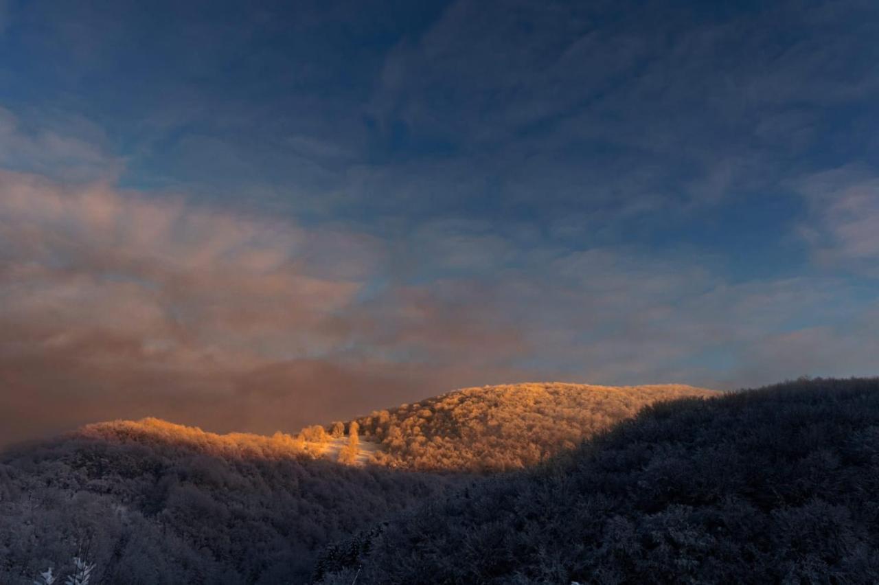 Vila Blanc Valiug Crivaia Văliug Exterior foto