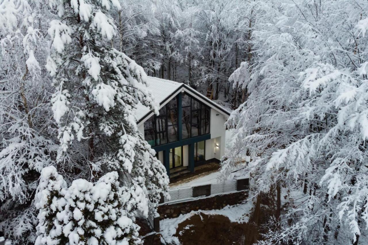 Vila Blanc Valiug Crivaia Văliug Exterior foto