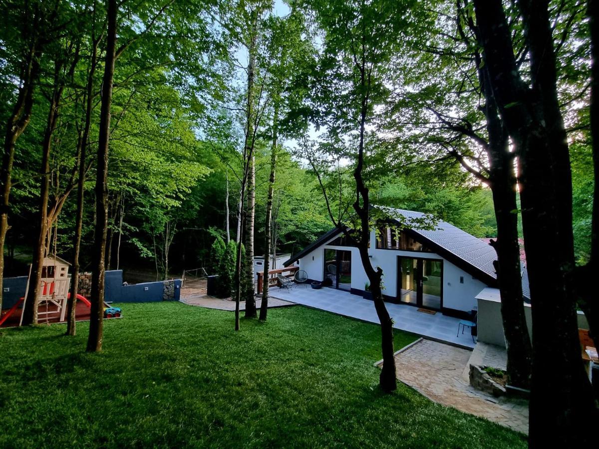 Vila Blanc Valiug Crivaia Văliug Exterior foto