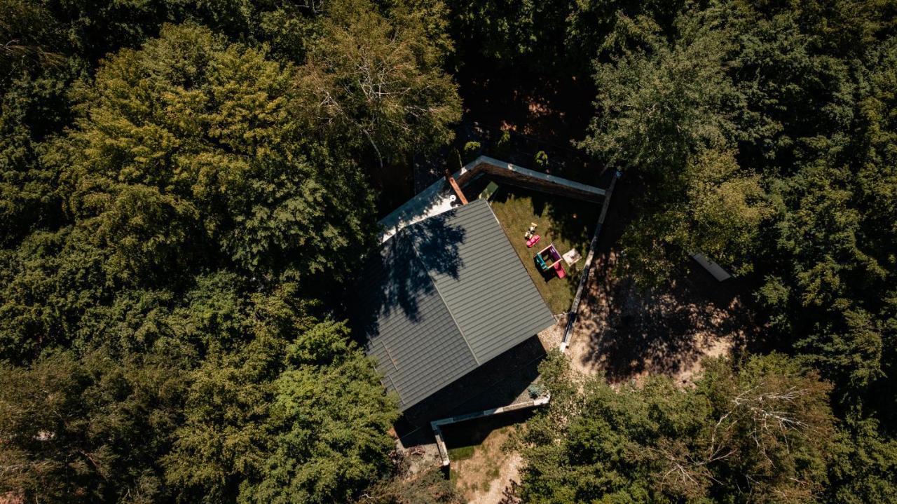 Vila Blanc Valiug Crivaia Văliug Exterior foto