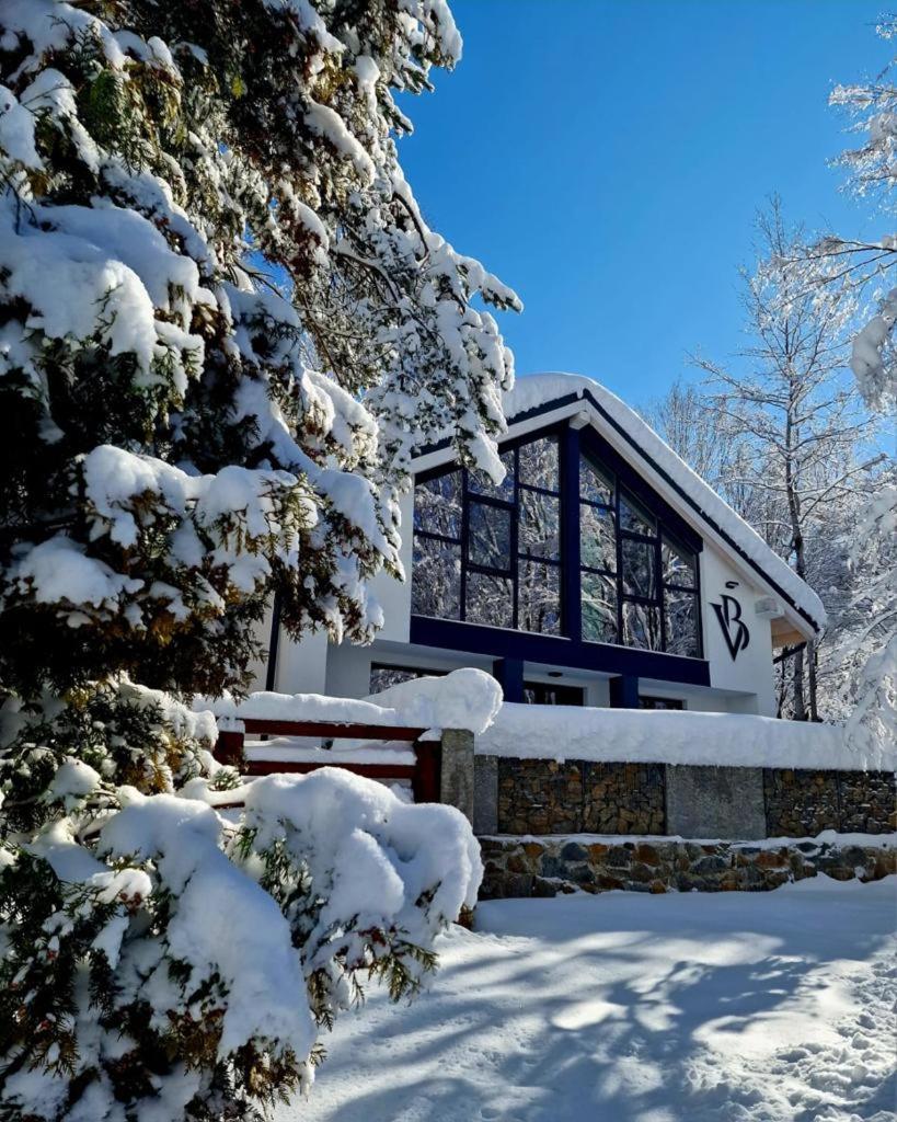 Vila Blanc Valiug Crivaia Văliug Exterior foto
