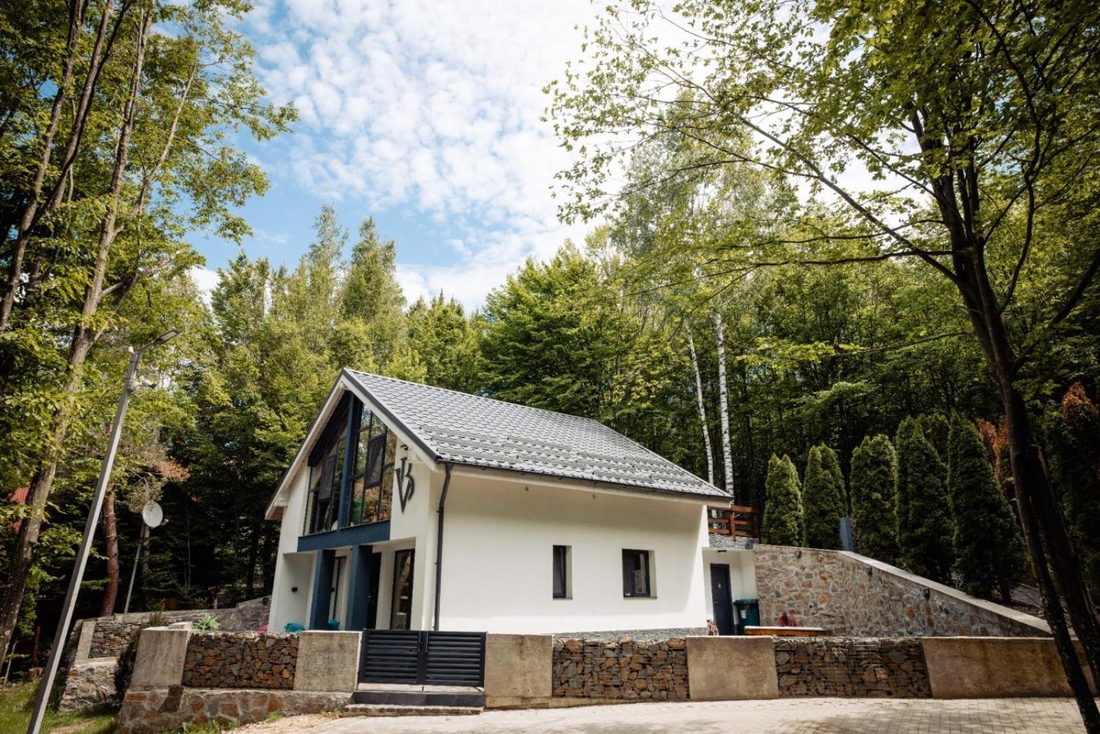 Vila Blanc Valiug Crivaia Văliug Exterior foto