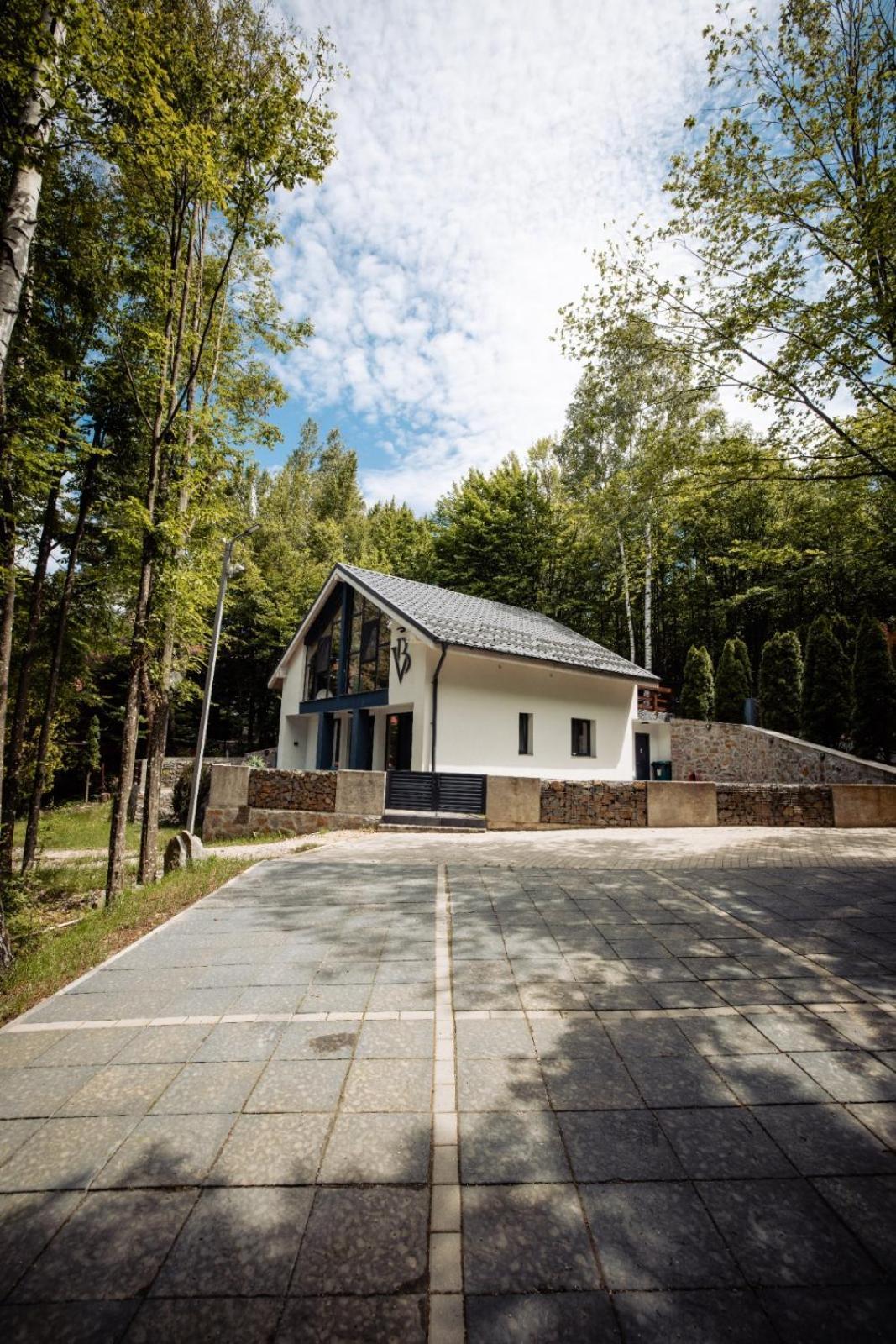 Vila Blanc Valiug Crivaia Văliug Exterior foto