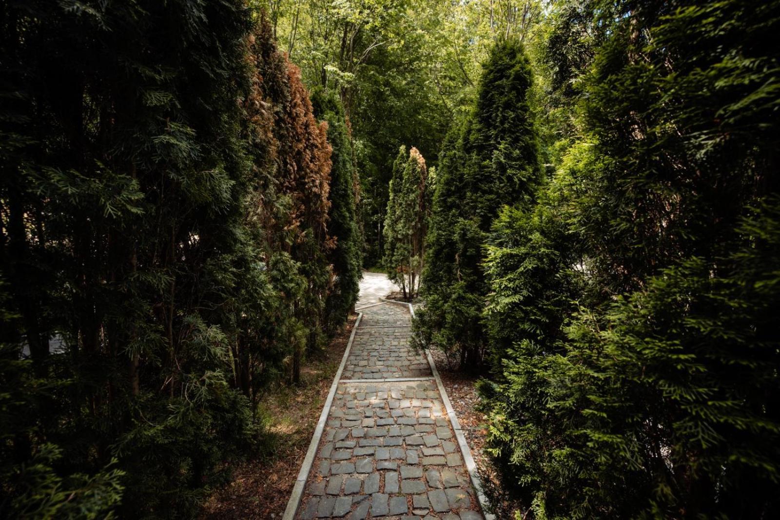 Vila Blanc Valiug Crivaia Văliug Exterior foto